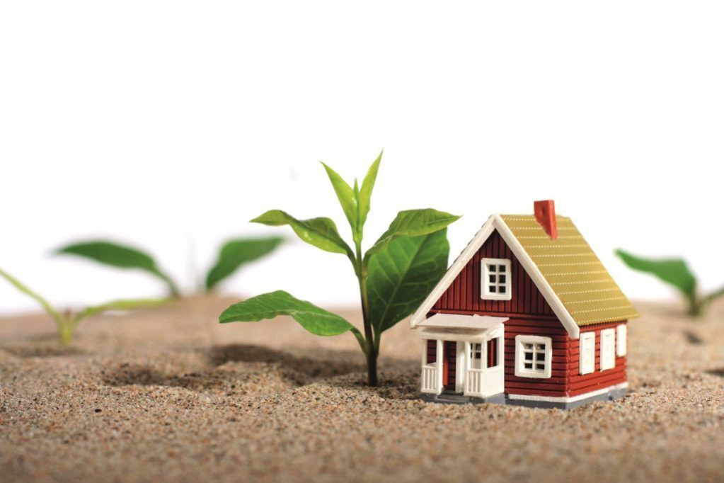 Property industry shows some green shoots