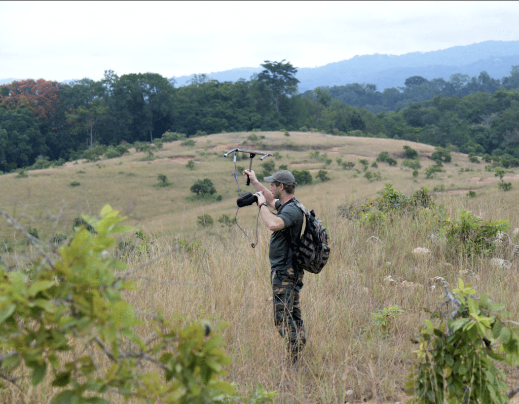 Thrills, Perils, And Mandrills - Forbes Africa