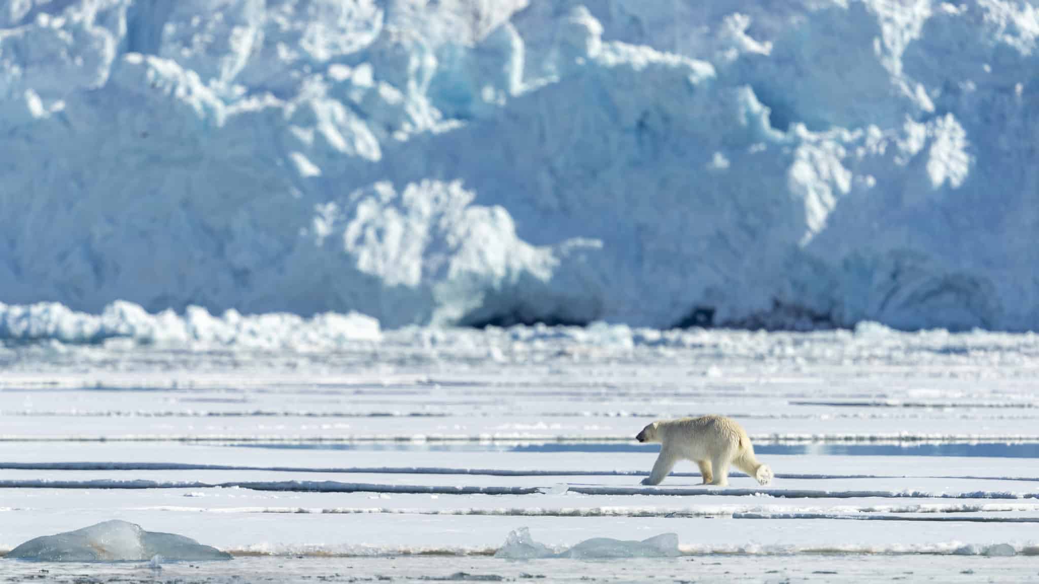 New Study Makes First-Ever Direct Link Between Greenhouse Gases And ...