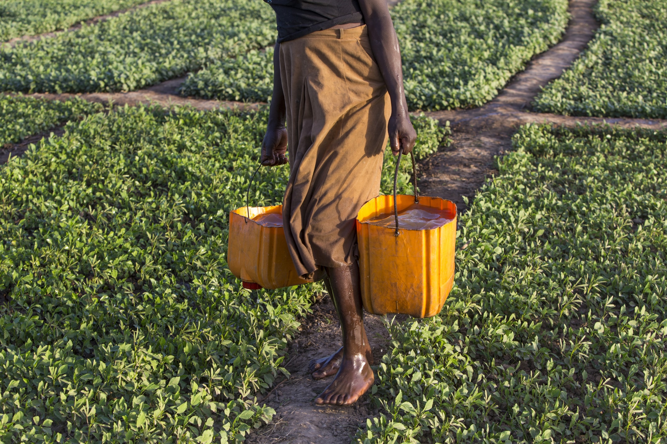 Member of a women’s cooperative carrying buckets to water a field in Karsome, Togo.