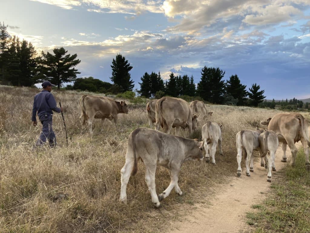 Artisan Goods – Honest Pastures Family Farm