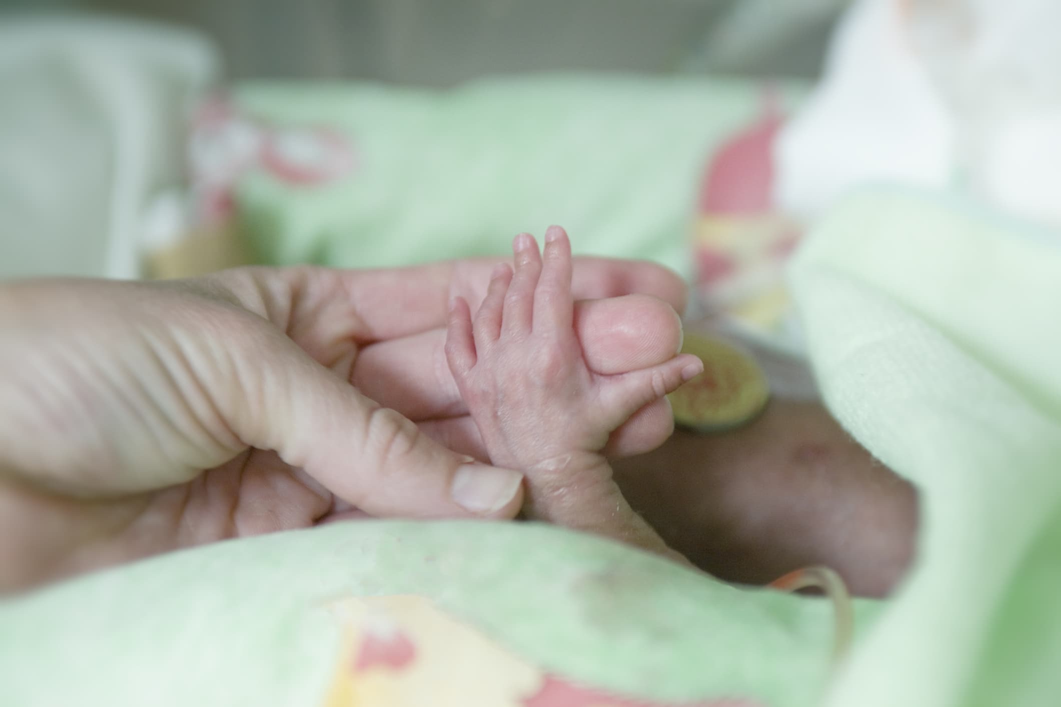 Premature baby holds mothers hand