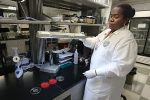 South Africa’s First-In-Human HIV Vaccine Trial Signals A Scientific ...