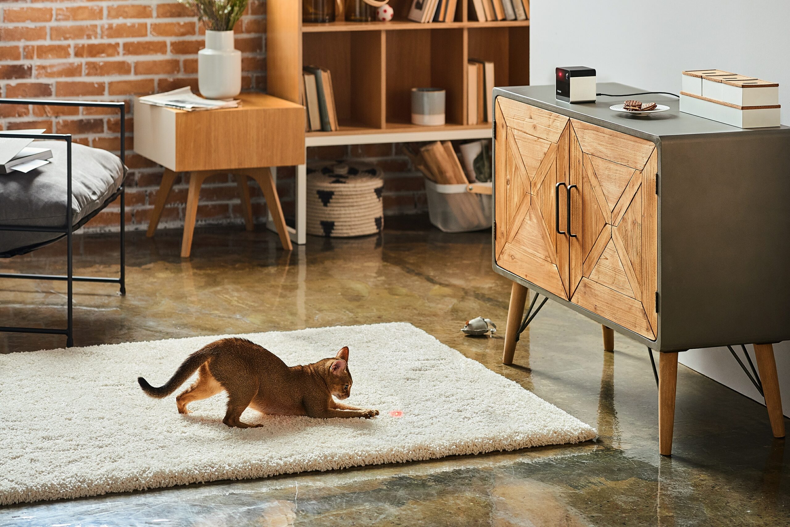 Petcube Play (image supplied)