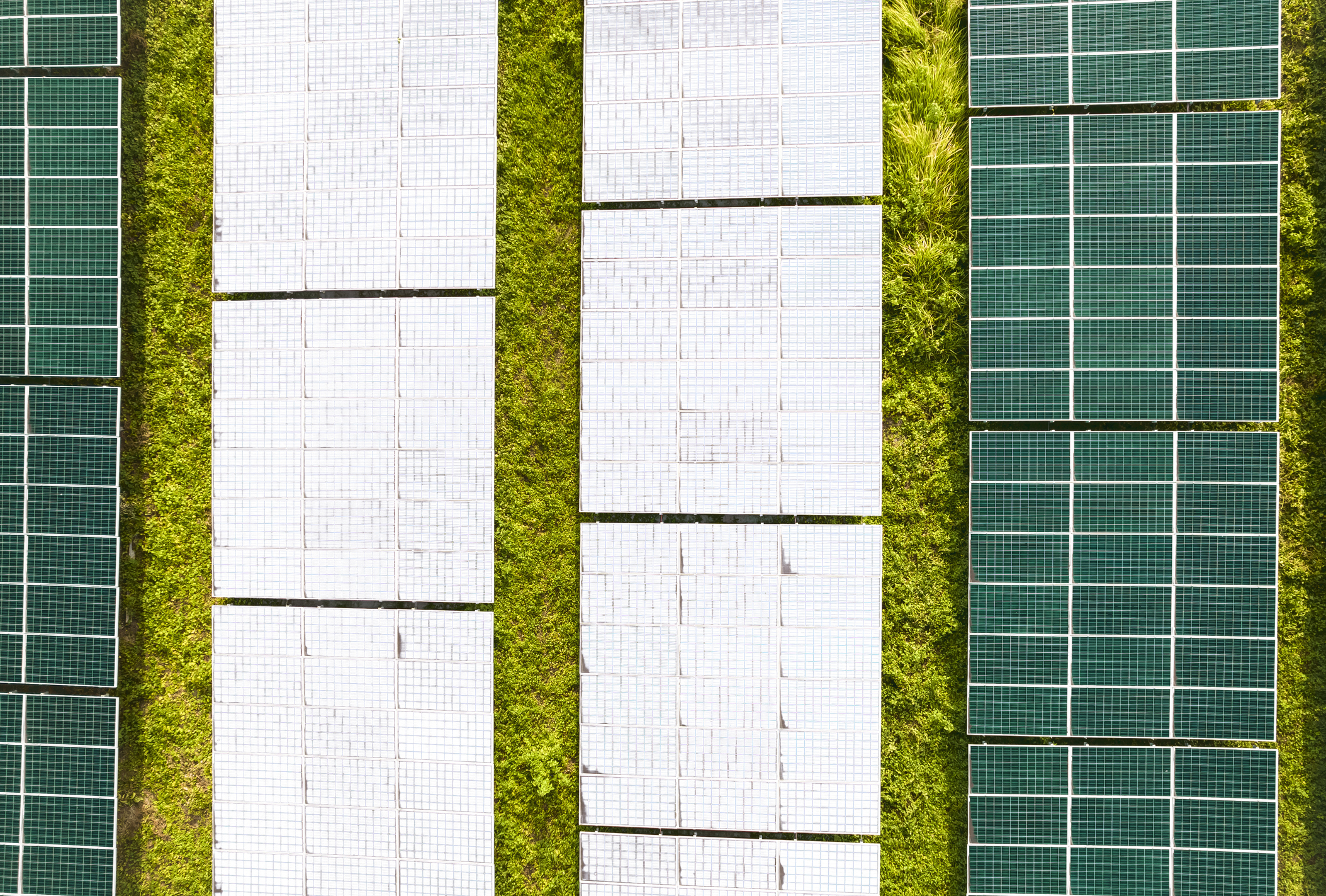 The Light At The End Of The Grid: Sparking A Solar Revolution In Nigeria