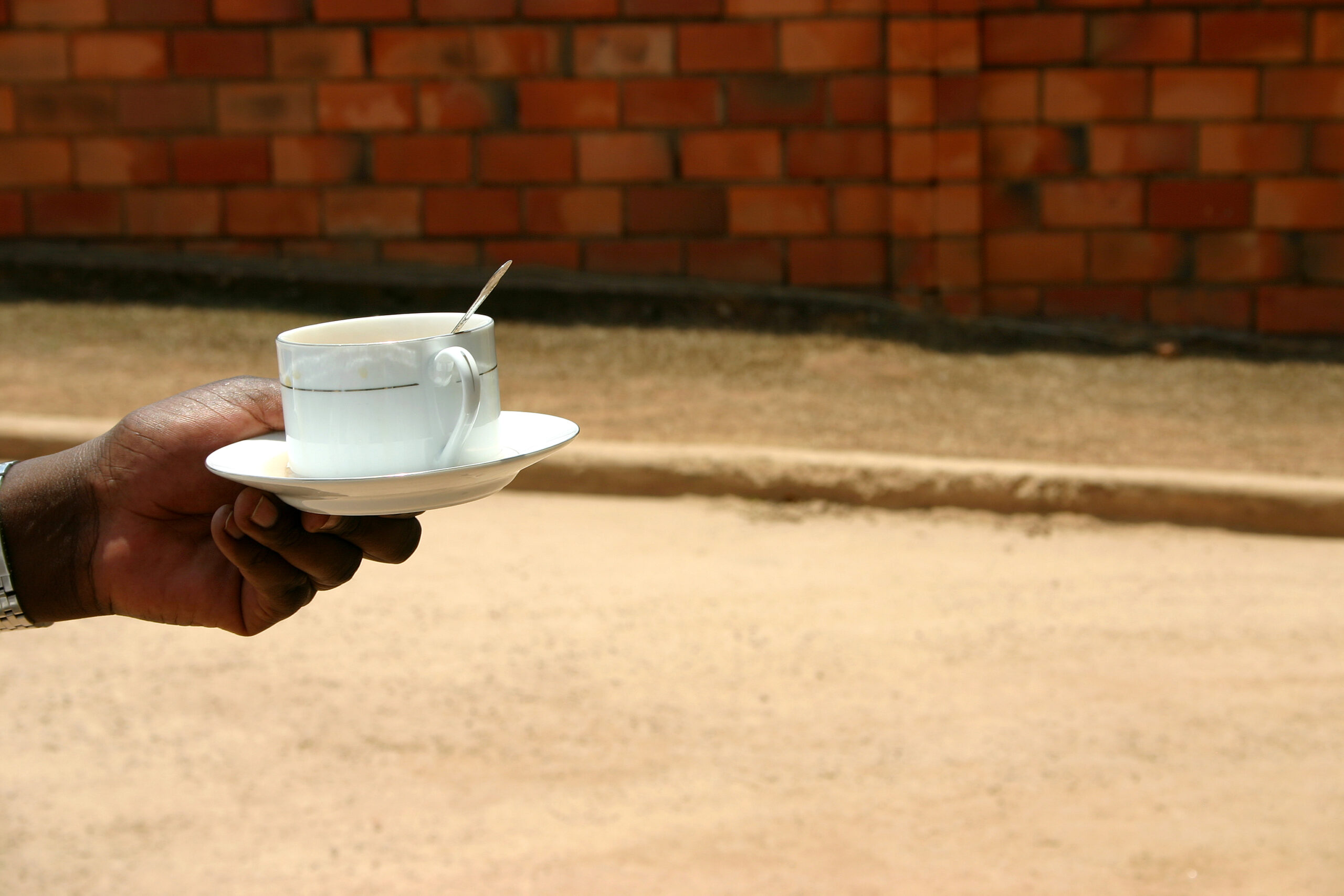 Turning Leaves Into Leverage: Brewing Impressive Returns In Rwanda